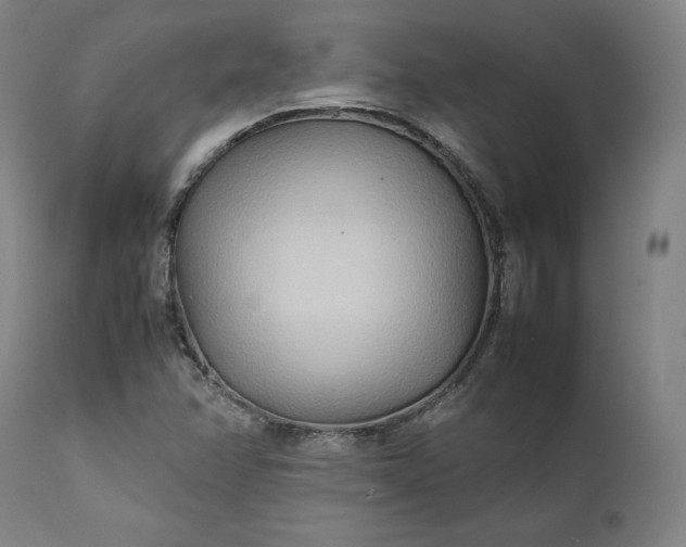 X0000111211358200907151428