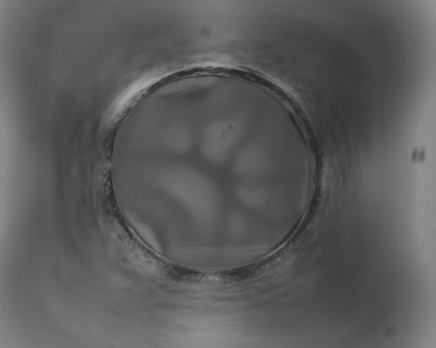 X0000111211359200907151428