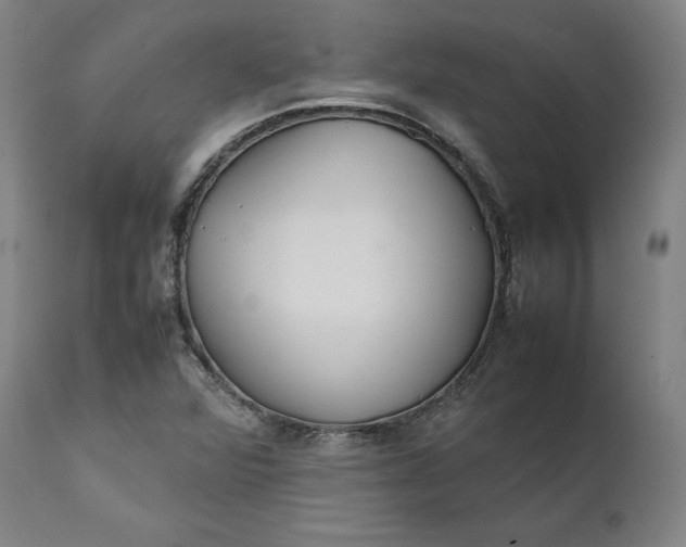 X0000111211360200907151428