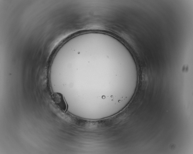 X0000111211364200907151428