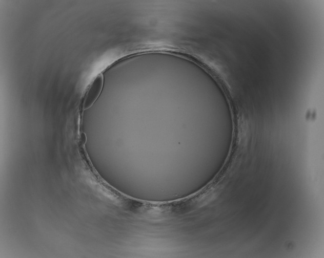 X0000111211365200907151428