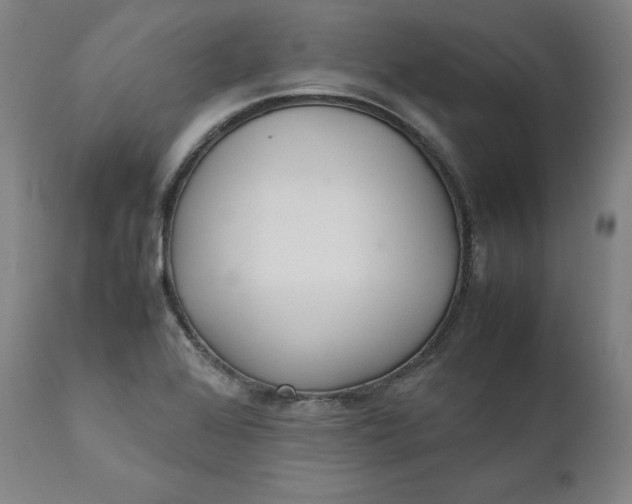 X0000111211368200907151428