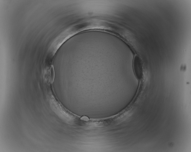 X0000111211369200907151428