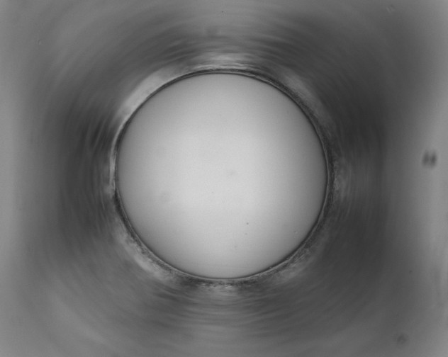 X0000111211370200907151427