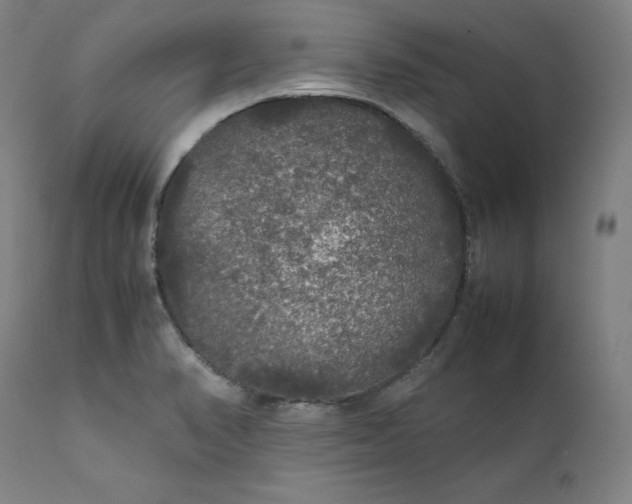 X0000111211374200907151427