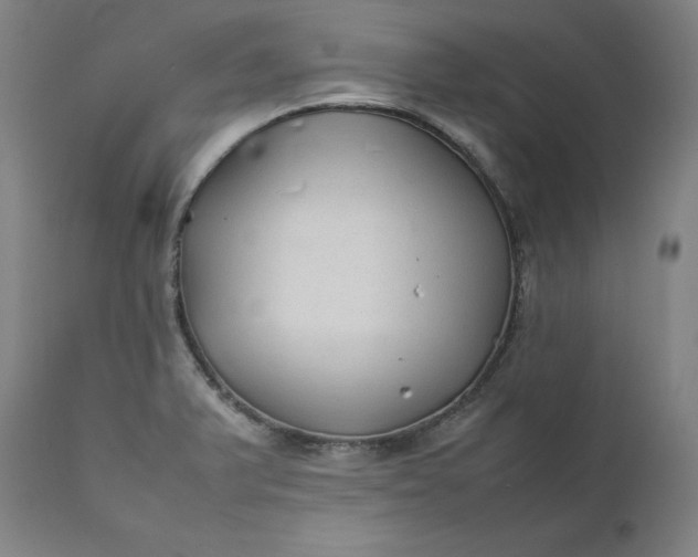 X0000111211375200907151427