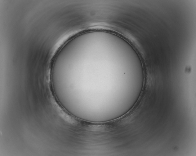 X0000111211376200907151427