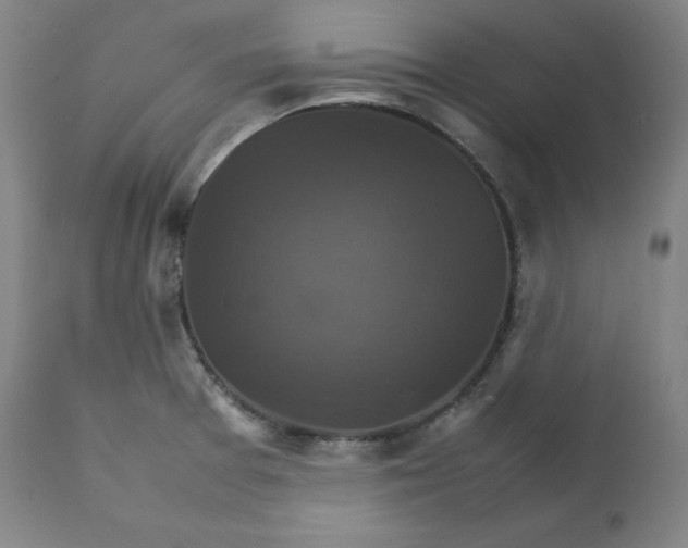 X0000111211377200907151427