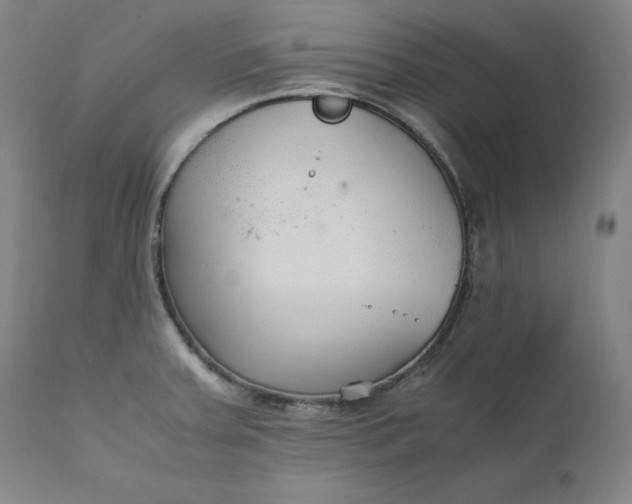 X0000111211379200907151427