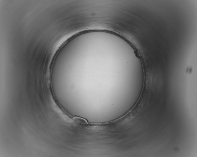 X0000111211380200907151427