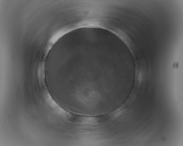 X0000111211382200907151427