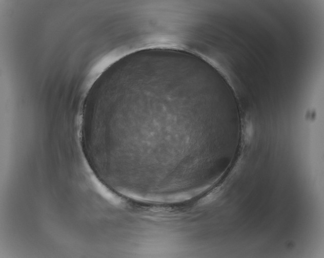 X0000111211383200907151427