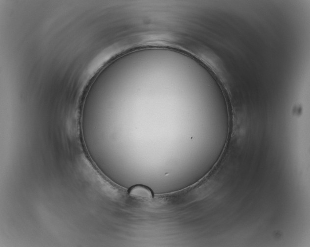 X0000111211384200907151427