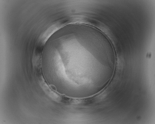 X0000111211385200907151427