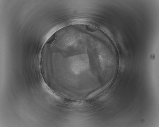 X0000111211386200907151427