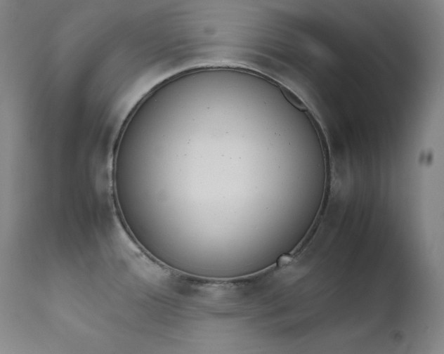 X0000111211388200907151427