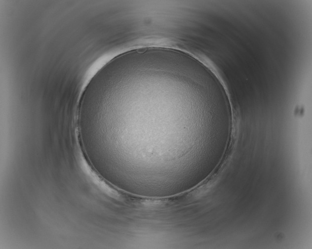 X0000111211389200907151427