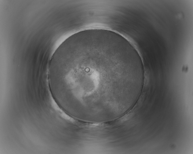 X0000111211390200907151427