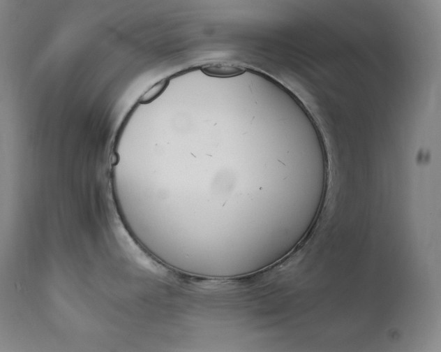 X0000111211392200907151427