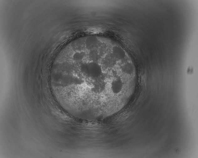 X0000111211393200907151427