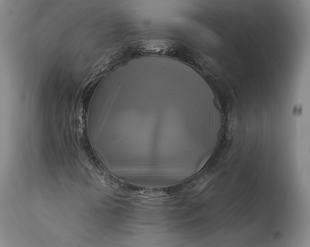 X0000111211394200907151427