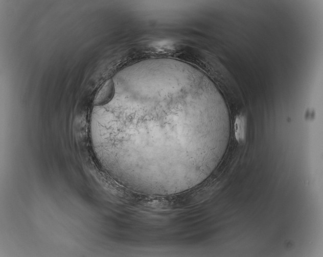 X0000111211395200907151427