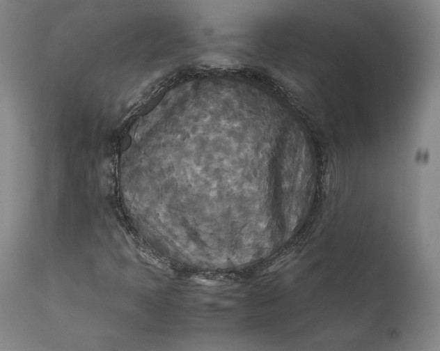 X0000111211397200907151427