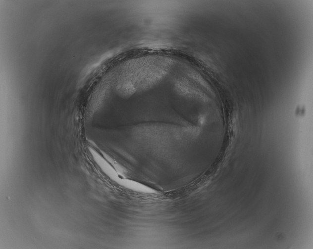 X0000111211398200907151427