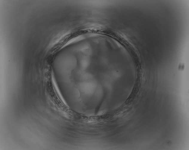 X0000111211399200907151427