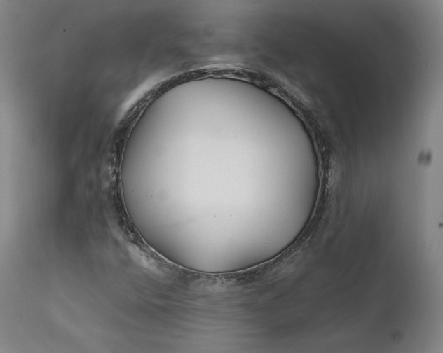 X0000111211400200907151427