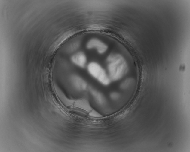 X0000111211401200907151427