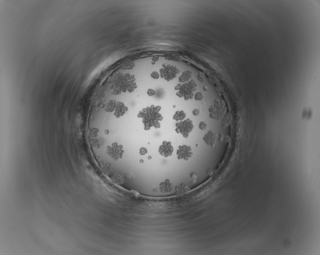 X0000111211402200907151427