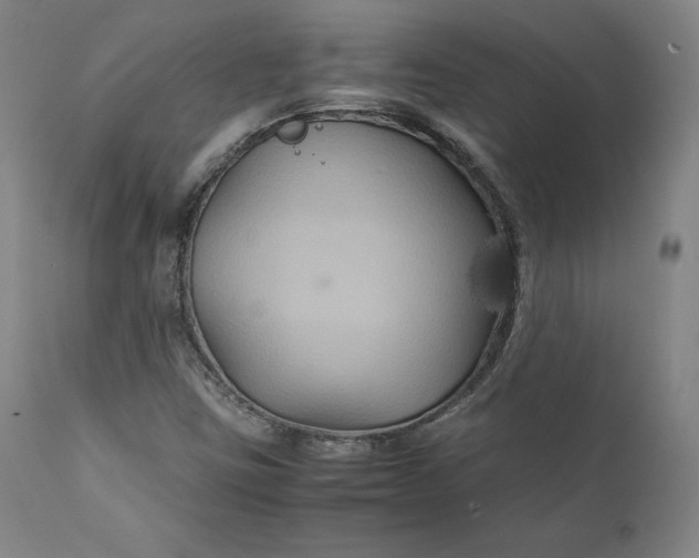 X0000111211403200907151427