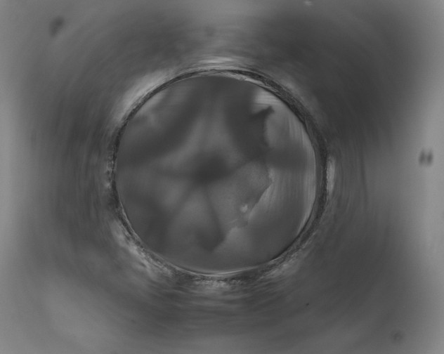 X0000111211405200907151427