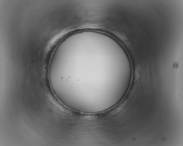 X0000111211406200907151427