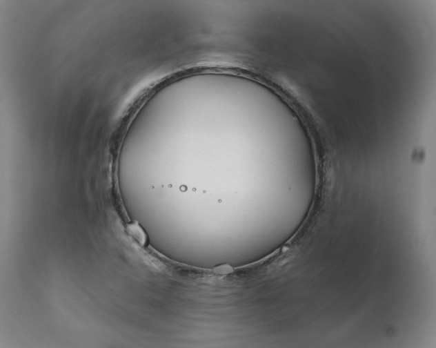 X0000111211408200907151427