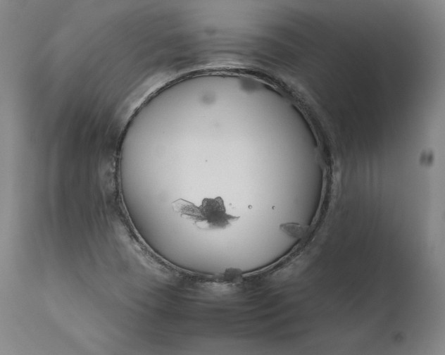 X0000111211409200907151427