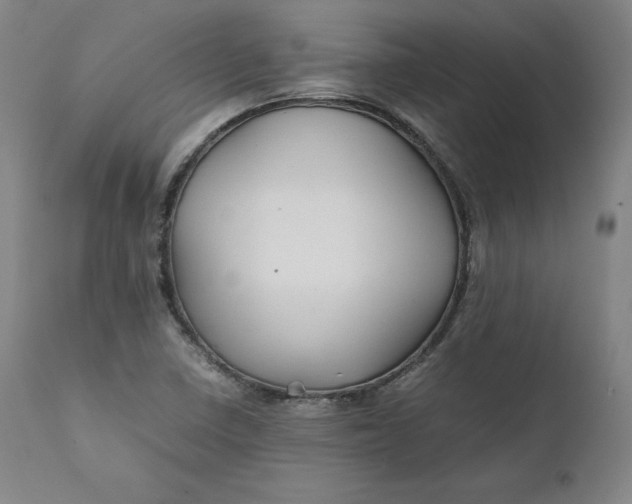 X0000111211410200907151427