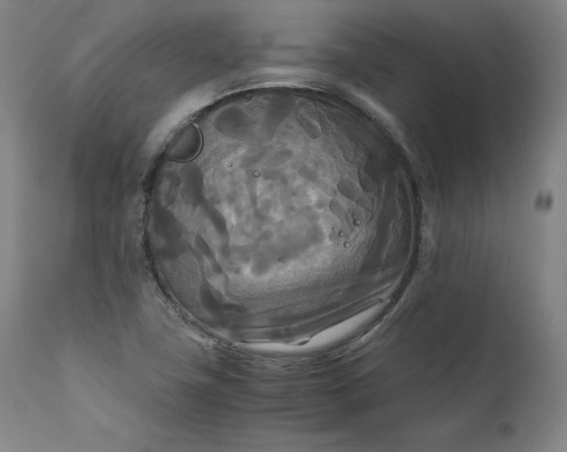 X0000111211411200907151427