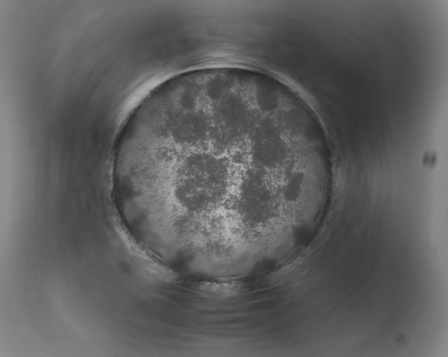 X0000111211415200907151427