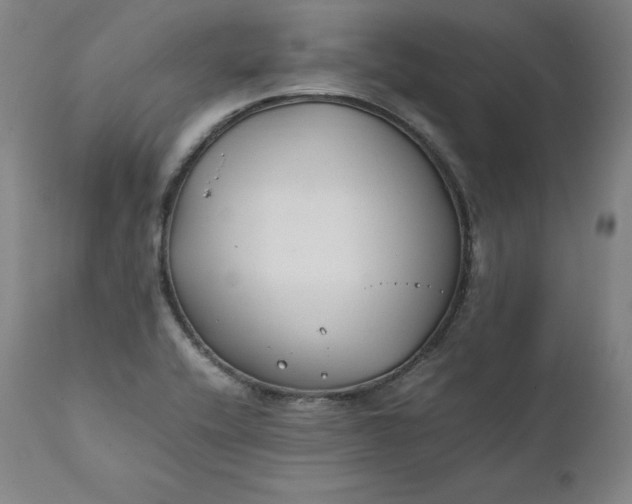 X0000111211416200907151427