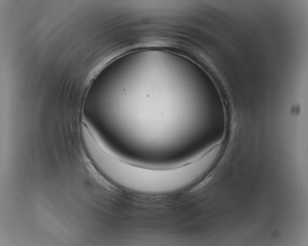 X0000111211417200907151427