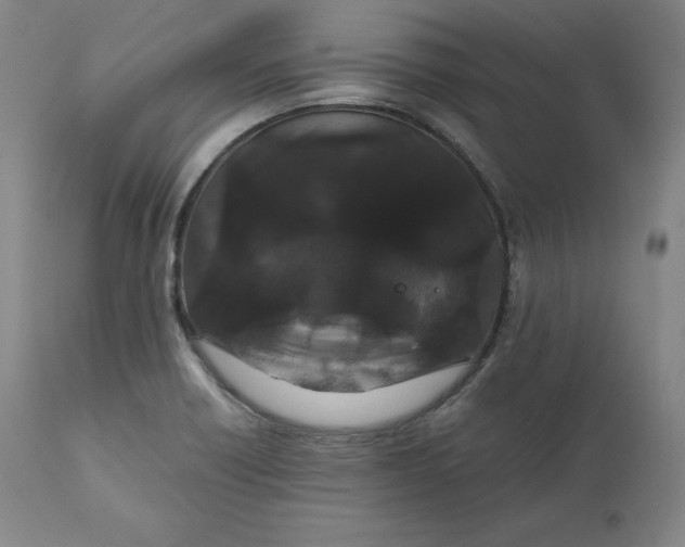 X0000111211418200907151427