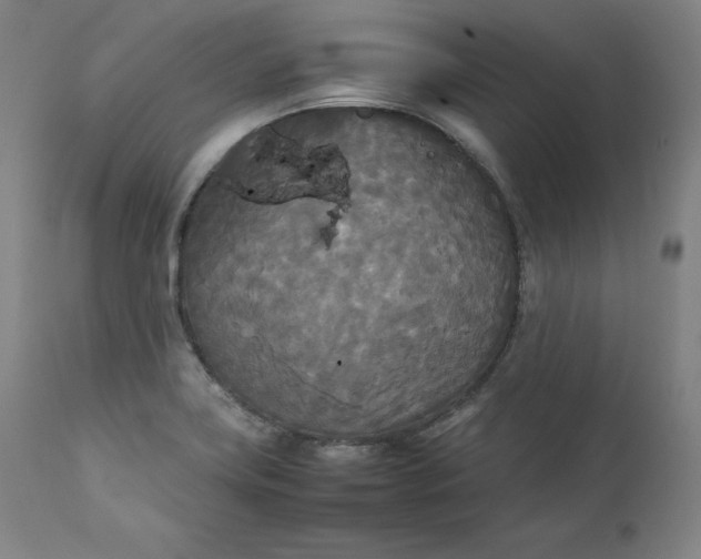 X0000111211419200907151427