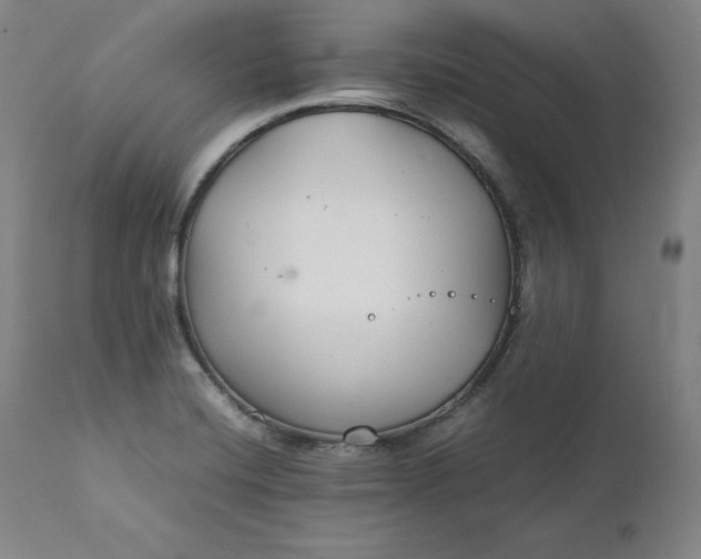 X0000111211420200907151427