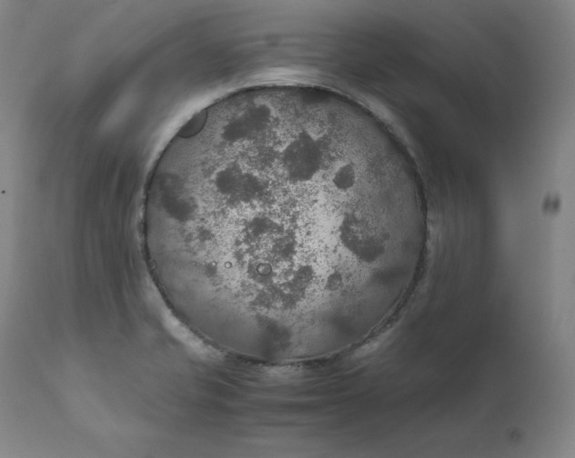 X0000111211421200907151427