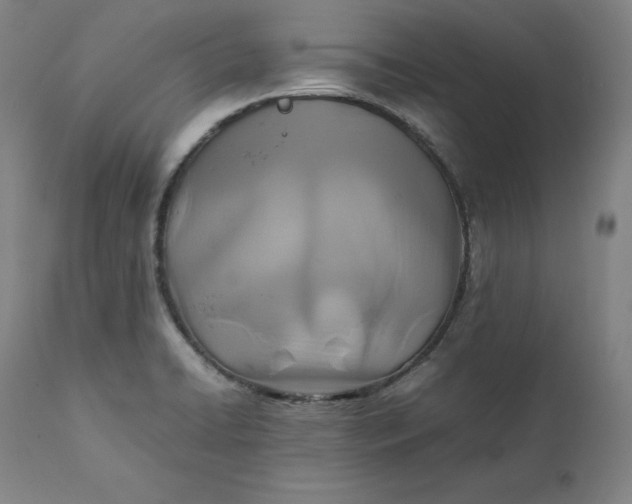 X0000111211422200907151427