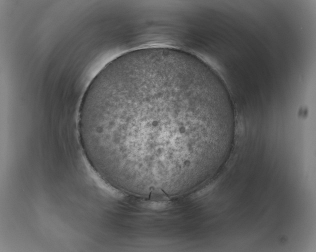 X0000111211423200907151427