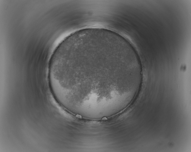 X0000111211424200907151427