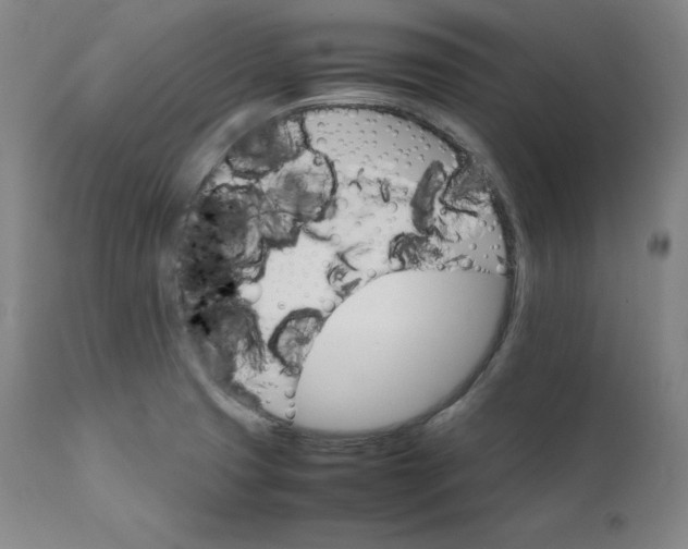 X0000111211425200907151427